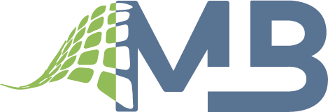 logo mb web agency